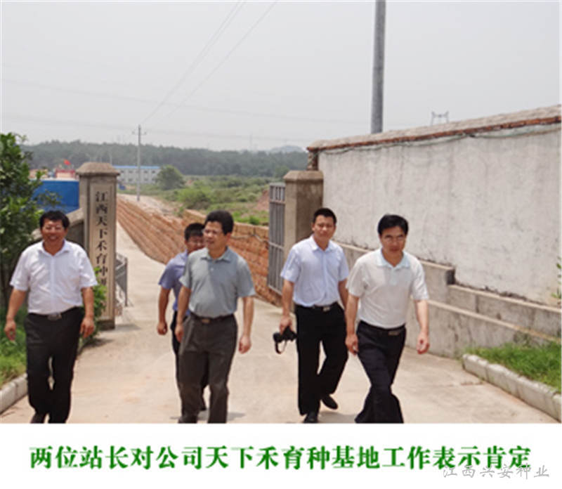 江西省農(nóng)業(yè)技術(shù)推廣總站站長(zhǎng)文喜賢一行蒞臨公司指導(dǎo)工作